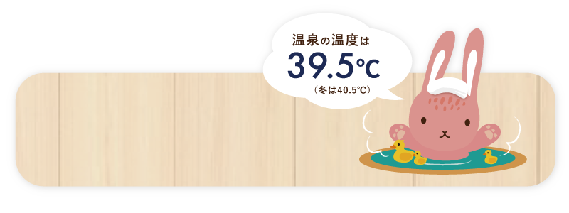温泉の温度は39.5℃（冬は40.5℃）