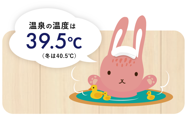 温泉の温度は39.5℃（冬は40.5℃）